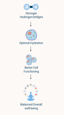 screenshot-2024-12-22-0853041 screenshot-2024-12-22-0853041